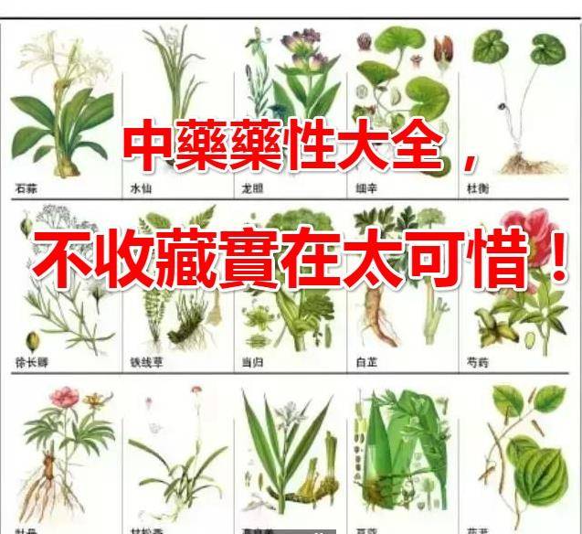 中藥藥性大全！太齊全了，不收藏實在可惜！