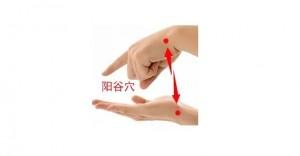 我們來學習陽谷穴，它被人們稱之為「不老穴」！