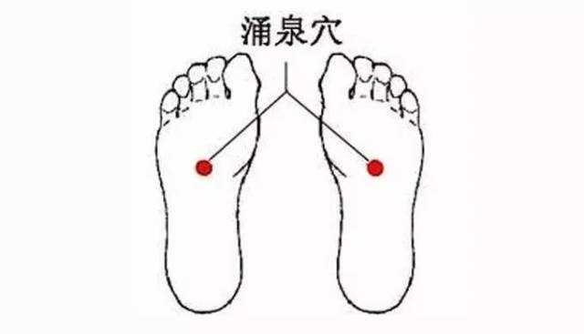 張醫生教您穴位按摩從此告別醫院！
