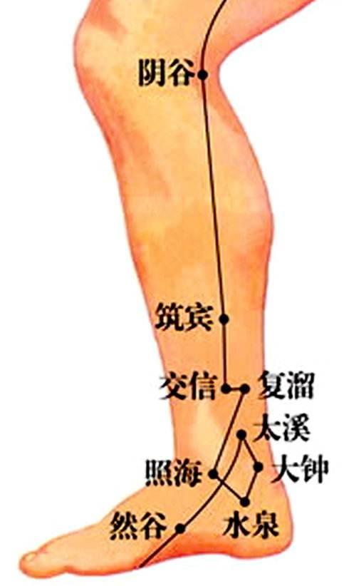 張醫生教您穴位按摩從此告別醫院！
