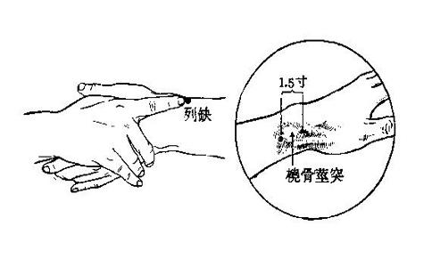 十二原穴十五絡穴八會穴，複雜的經絡圖怎麼更好的掌握學習