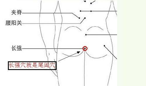 十二原穴十五絡穴八會穴，複雜的經絡圖怎麼更好的掌握學習