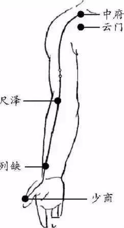 刮痧：清皮膚濁氣，美膚刮痧法