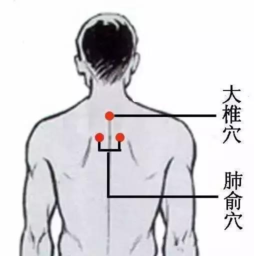 刮痧：清皮膚濁氣，美膚刮痧法