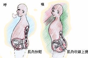 最全養生要點，10歲—100歲，健康長壽到白頭
