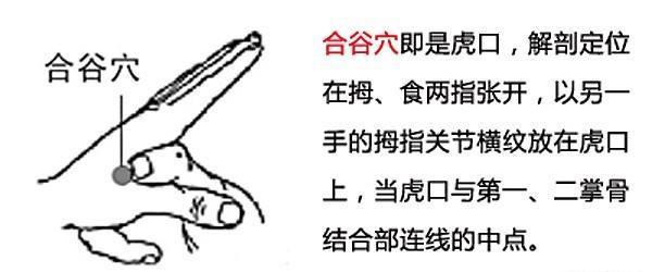  59 轉發 微博 Qzone 微信