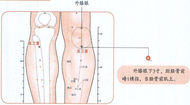  59 轉發 微博 Qzone 微信