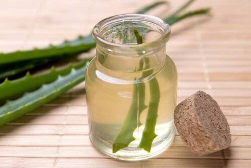 牛皮癬抓不停？別怕！天然 6 招輕輕一敷超抗炎，紅斑、搔癢脫屑全不見！
