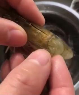餐廳大廚用「不費力神招」處理「蝦子腸泥」超神速！一個MOVE幾秒內輕鬆搞定！
