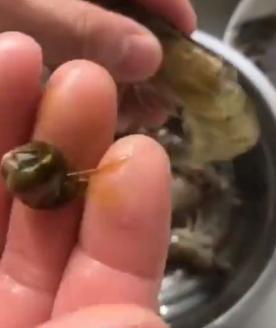 餐廳大廚用「不費力神招」處理「蝦子腸泥」超神速！一個MOVE幾秒內輕鬆搞定！