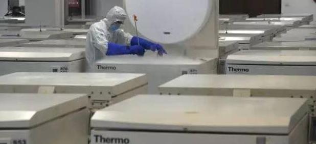 寶寶的臍帶血存儲後能救命？不過一場商業騙局罷了，家長別上當