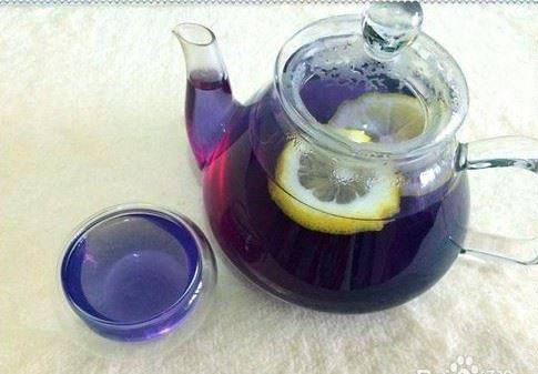 蝶豆花茶：花青素10倍喝，美容養顏、減脂抗發炎、預防糖尿病，清肝明目，功效非常多！!!