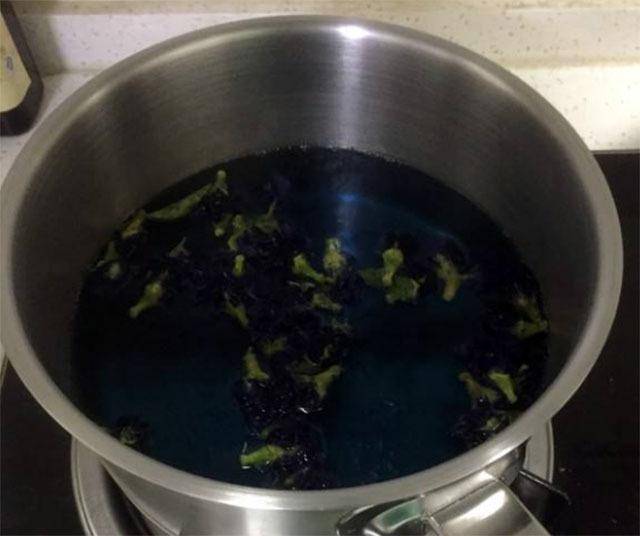 蝶豆花茶：花青素10倍喝，美容養顏、減脂抗發炎、預防糖尿病，清肝明目，功效非常多！!!