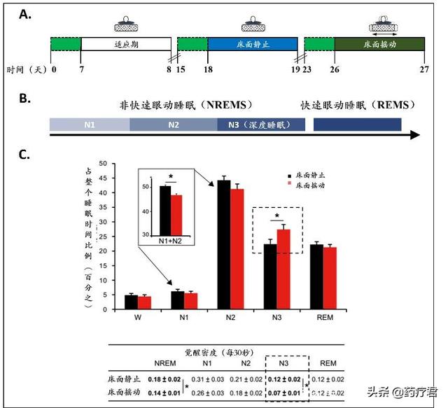 科學新發現：睡前只需這樣搖一搖，睡個安穩覺！