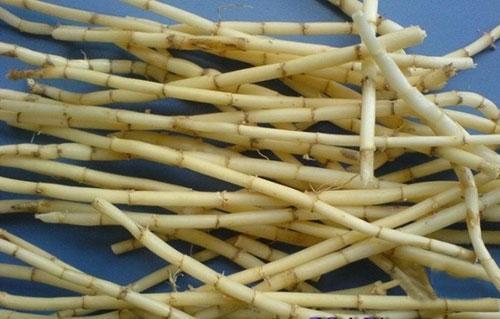 中醫強力止咳的妙方，知道了再也不用害怕！