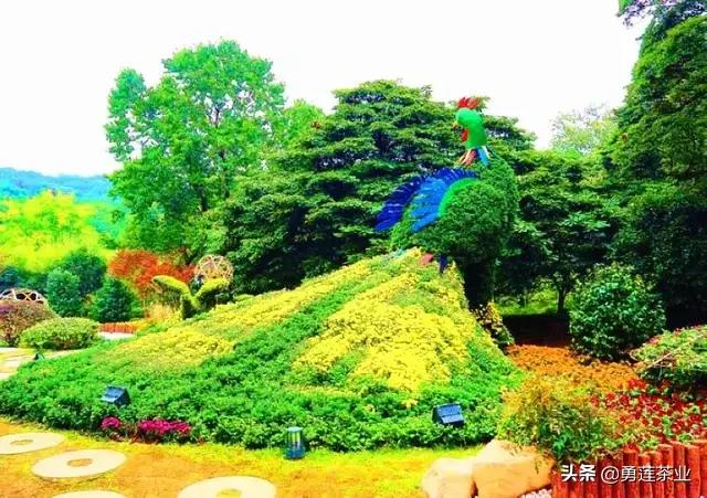 勵志的十句話，《很精僻》