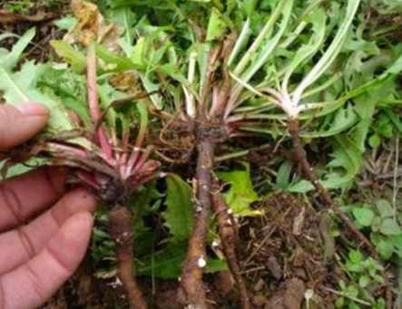要預防肝臟受損，這「3種食物」千萬不能吃，吃一次，對肝臟的傷害就多一次