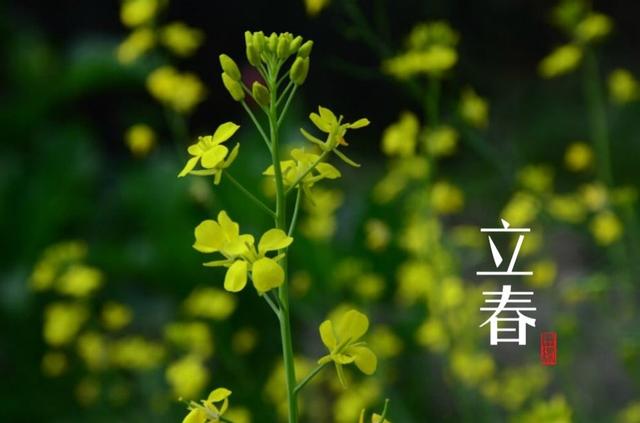 醫生提醒：立春正是養生好時節，要是能做到4點，效果事半功倍！
