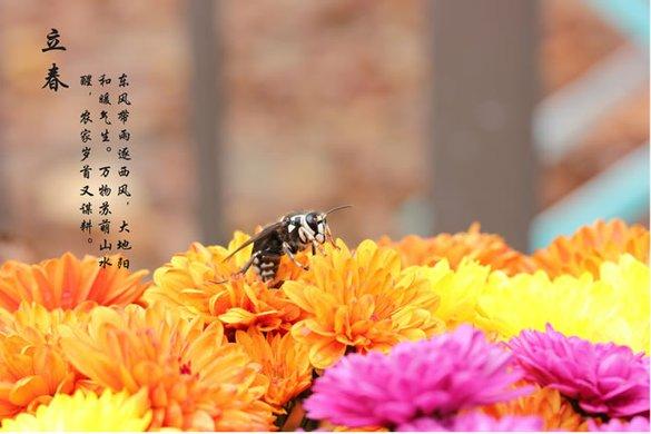 醫生提醒：立春正是養生好時節，要是能做到4點，效果事半功倍！
