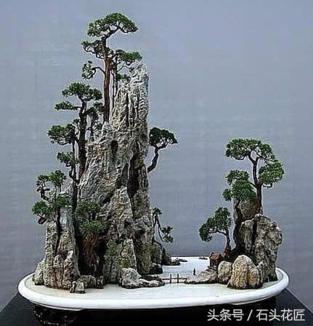 這些盆栽個個都是精品，可謂是價值連城，有的比一套房都貴