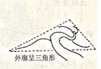 盆景初入門：迴旋式盆景的造型技巧圖解