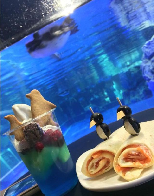 日本奇怪的動物咖啡廳，這是喝咖啡還是逛動物園啊……