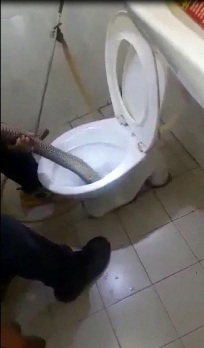 峨崙南北大道休息站 馬桶出現過江龍！