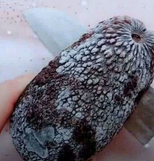 女子搬家前收拾房間，偶然翻到前任送的生日禮物，切開後癱在地上
