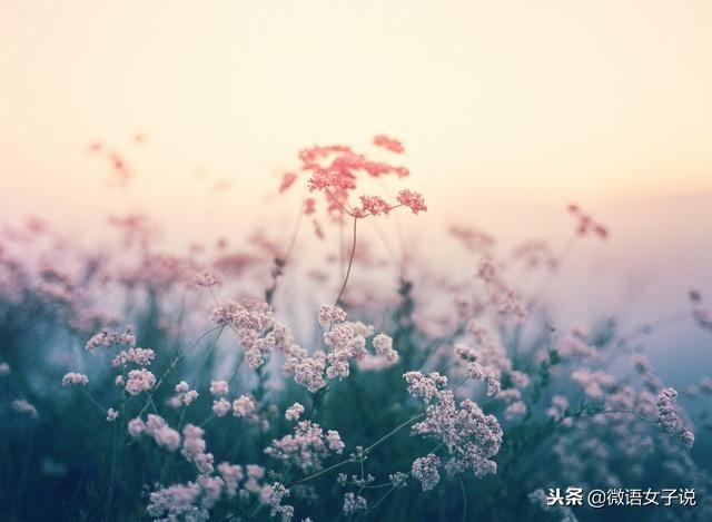 老公，離婚吧，我每個月兩萬的工資不是用來養你和你媽的