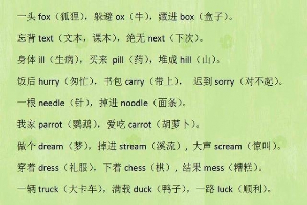 博士媽媽超厲害！簡單將英語單字「這樣做」，健忘兒子1天記住800個 