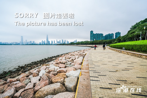 近50歲的鐘麗緹素顏曝光，嬸樣畢露，肚子大得可怕！網友：老公怎麼敢要！