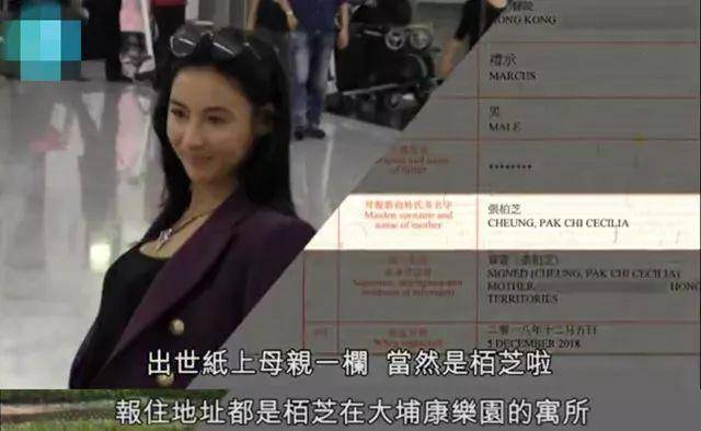小兒子出生世被揭開，張柏芝終於忍無可忍：怒斥政府監管不力！