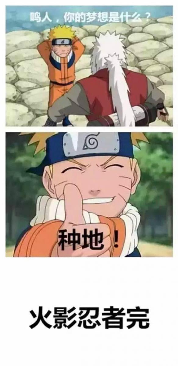 一句話結束一部動漫，海賊王還能忍，火影的結局太搞笑