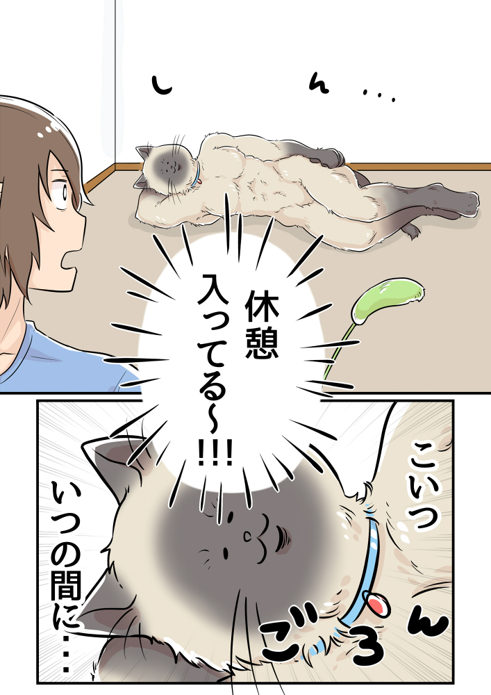根本是在找肌肉男鍛鍊　繪師畫「陪貓玩超累真相」只有貓奴才懂QQ 