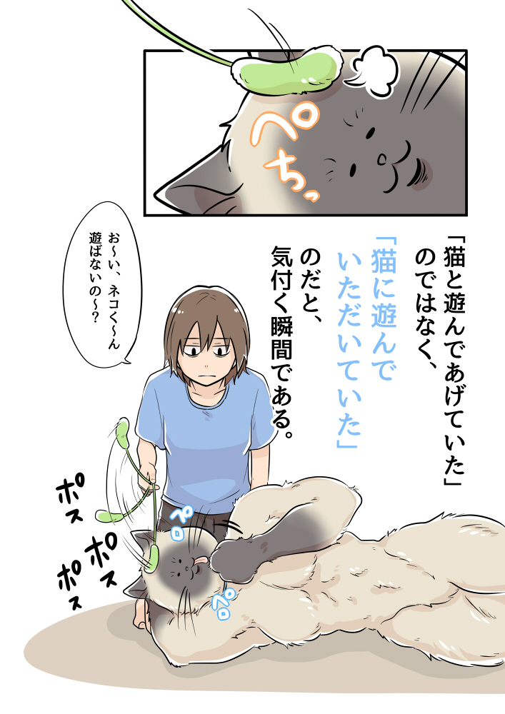 根本是在找肌肉男鍛鍊　繪師畫「陪貓玩超累真相」只有貓奴才懂QQ 