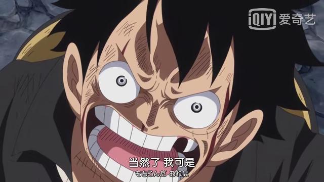 海賊王：路飛神奇的體質，連BIG MOM都羨慕不已