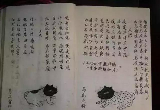 老爸嫌兒子帶回家狗難看要扔掉，奶奶看到狗模樣後：這狗給十萬也不賣，傻子才扔掉