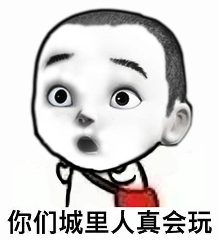 貓咪趕走了母雞，賴在雞窩不肯離去，得知原因主人立刻攆走了它