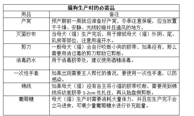 「貓三狗四」的說法正確嗎？貓狗懷孕真需要那麼久？