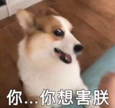 為什麼狗狗更愛吃「便宜」狗糧？