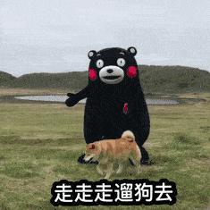 為什麼狗狗更愛吃「便宜」狗糧？