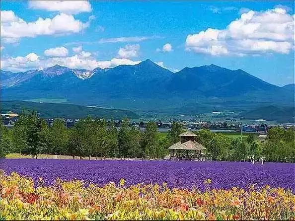 全球8大情人節蜜月旅行地，你去過幾個？