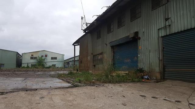 廢品回收站搬遷，忠心土狗被留下，牆上日曆記載著它已被遺棄一年