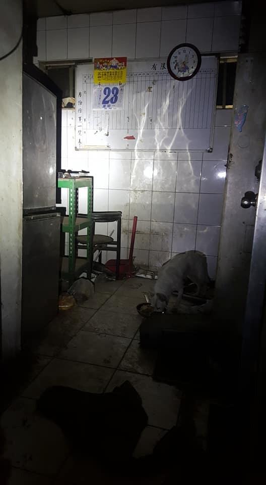 廢品回收站搬遷，忠心土狗被留下，牆上日曆記載著它已被遺棄一年