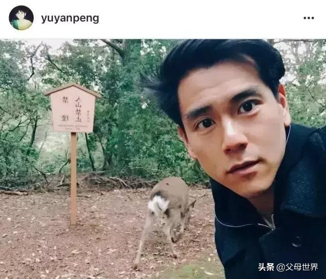 奈良小鹿一年傷了209人！8人骨折！原來鹿有這個反應是攻擊的意思