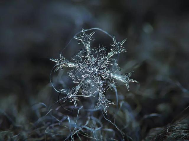 同樣是拍雪，這就是攝影師和普通人的差別！