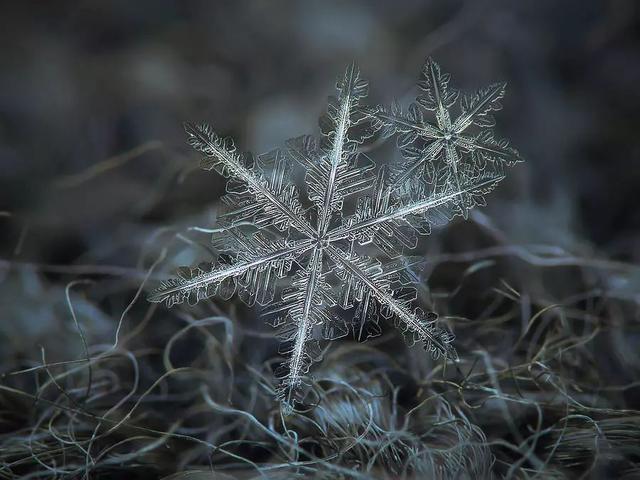 同樣是拍雪，這就是攝影師和普通人的差別！