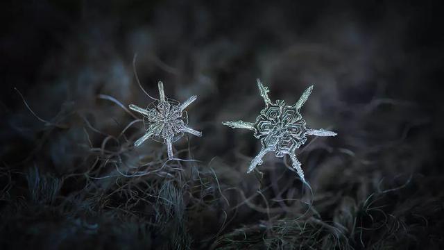 同樣是拍雪，這就是攝影師和普通人的差別！