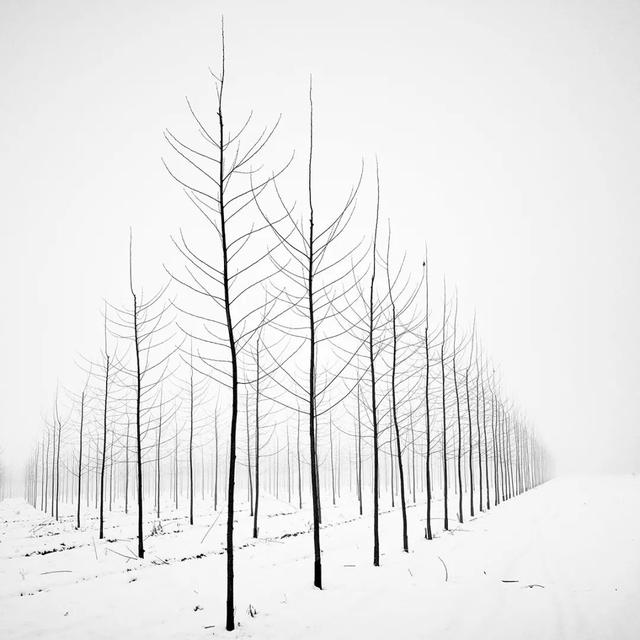 同樣是拍雪，這就是攝影師和普通人的差別！