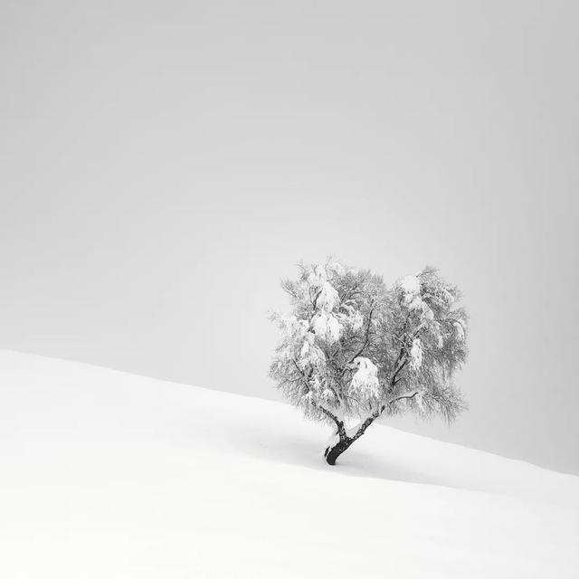 同樣是拍雪，這就是攝影師和普通人的差別！